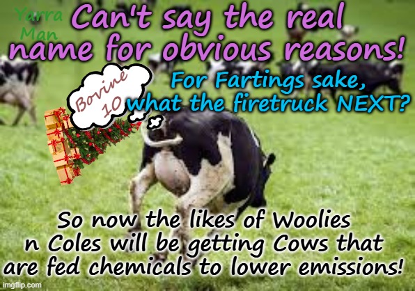 So now cows are going to be fed CHEMICALS to make them FART, lee. FFS. | Can't say the real name for obvious reasons! Yarra Man; For Fartings sake, what the firetruck NEXT? Bovine 10; So now the likes of Woolies n Coles will be getting Cows that are fed chemicals to lower emissions! | image tagged in global warming,climate alarmists,united nations european islamic union,far left labor labour democrats,albanese,starmer | made w/ Imgflip meme maker