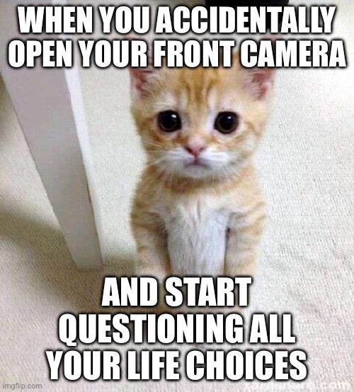 WHEN YOU ACCIDENTALLY OPEN YOUR FRONT CAMERA | WHEN YOU ACCIDENTALLY OPEN YOUR FRONT CAMERA; AND START QUESTIONING ALL YOUR LIFE CHOICES | image tagged in memes,cute cat,cat memes,life,choices,camera | made w/ Imgflip meme maker