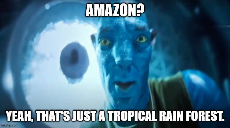 Why does people go to a rain forest to buy their stuffs? | AMAZON? YEAH, THAT'S JUST A TROPICAL RAIN FOREST. | image tagged in avatar blue guy,amazon | made w/ Imgflip meme maker