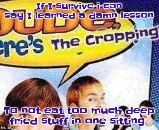 dude where's the cropping | If I survive i can say I learned a damn lesson; To not eat too much deep fried stuff in one sitting | image tagged in dude where's the cropping | made w/ Imgflip meme maker