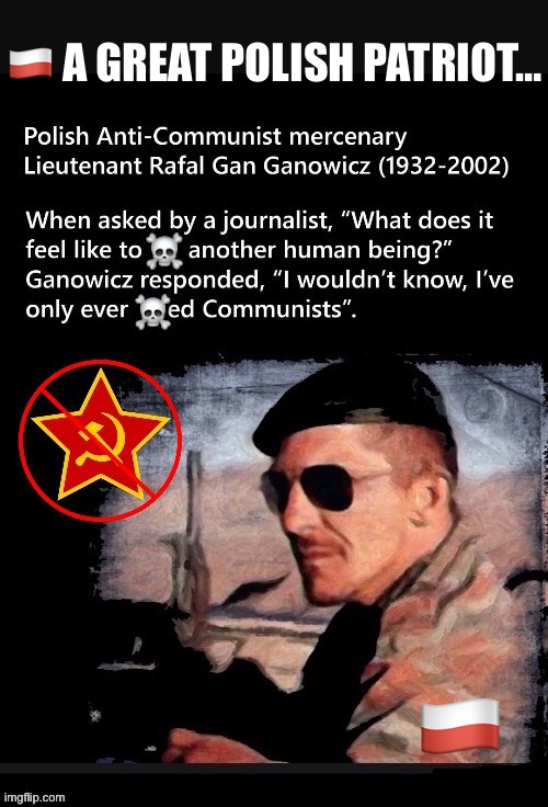 The fight is real… | 🇵🇱 A GREAT POLISH PATRIOT…; 🇵🇱 | image tagged in anti communists,polish,patriot,ganowicz,mercenary | made w/ Imgflip meme maker