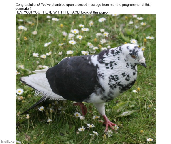 I found a secret in the incorrect quotes generator- | made w/ Imgflip meme maker