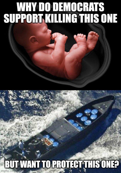 WHY DO DEMOCRATS SUPPORT KILLING THIS ONE; BUT WANT TO PROTECT THIS ONE? | image tagged in baby in womb,venezuelan drug boat | made w/ Imgflip meme maker