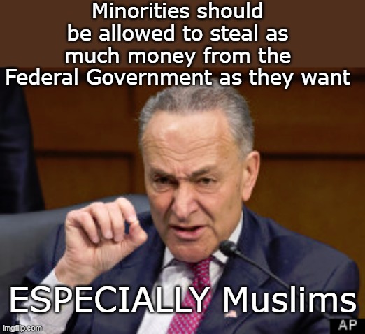 RACIST Trump investigates MN Muslims | Minorities should be allowed to steal as much money from the Federal Government as they want; ESPECIALLY Muslims | image tagged in schumer allow stealing minorities meme | made w/ Imgflip meme maker