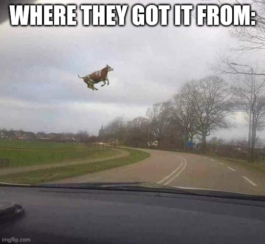 Cows Fly | WHERE THEY GOT IT FROM: | image tagged in cows fly | made w/ Imgflip meme maker