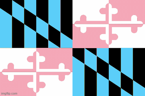 Cool-Maryland-Gif | image tagged in gifs | made w/ Imgflip images-to-gif maker