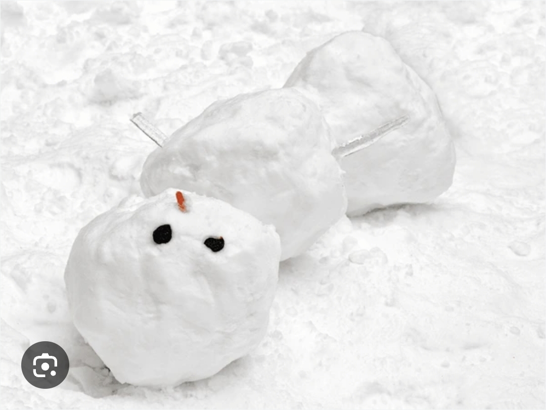 Fallen Frosty Blank Meme Template