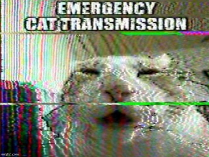 emergency | image tagged in rmk | made w/ Imgflip meme maker