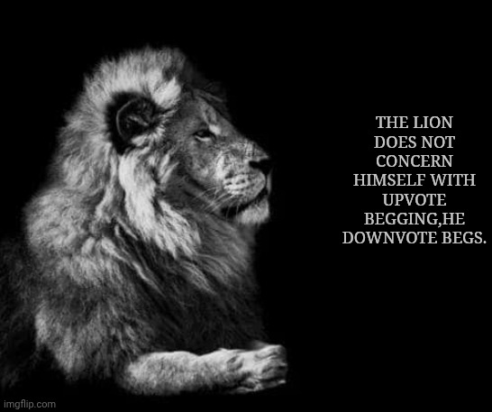 the lion.. | THE LION DOES NOT CONCERN HIMSELF WITH UPVOTE BEGGING,HE DOWNVOTE BEGS. | image tagged in the lion,downvote | made w/ Imgflip meme maker