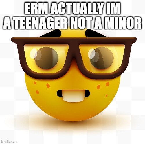 ERM ACTUALLY IM A TEENAGER NOT A MINOR | image tagged in nerd emoji | made w/ Imgflip meme maker