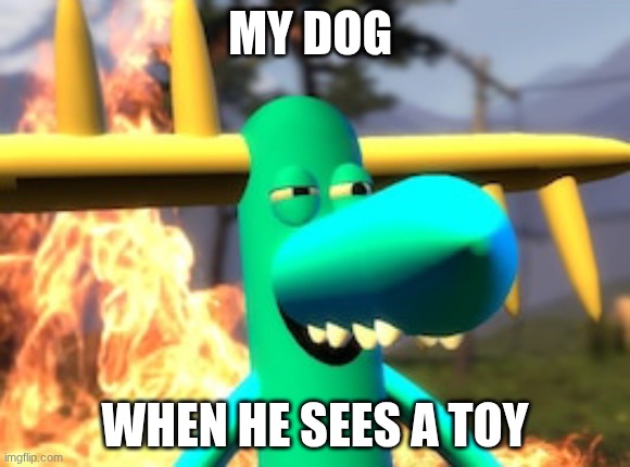 lumpy on meth | MY DOG; WHEN HE SEES A TOY | image tagged in lumpy on meth | made w/ Imgflip meme maker