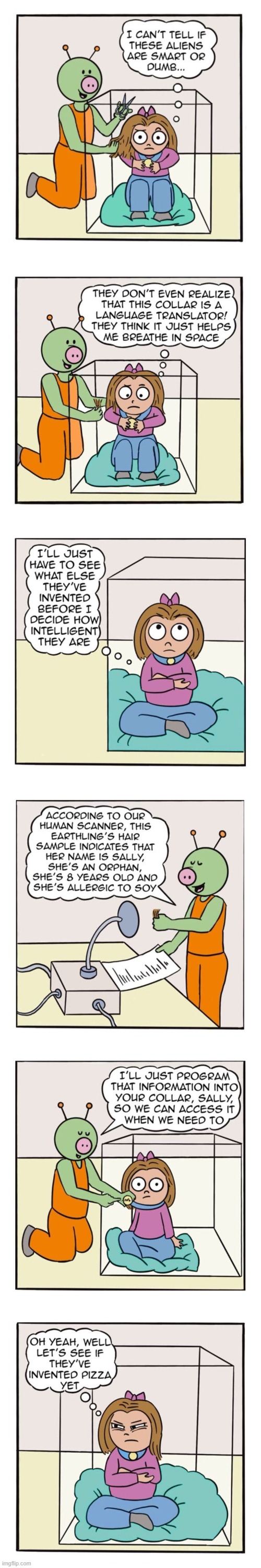 image tagged in human,sally,aliens,hair,info,pizza | made w/ Imgflip meme maker