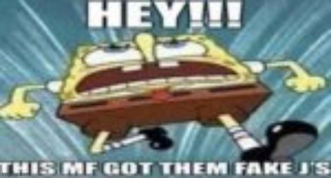 bye cat | image tagged in hey this mf got tgem fake j's | made w/ Imgflip meme maker