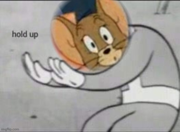 Jerry hold up | image tagged in jerry hold up | made w/ Imgflip meme maker