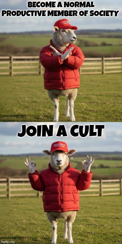 MEMEBER OF SOCIETY OR CULT? | BECOME A NORMAL PRODUCTIVE MEMBER OF SOCIETY JOIN A CULT | image tagged in trump,maga,sheep,cult,member of society,drake no/yes | made w/ Imgflip meme maker