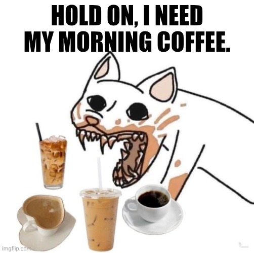 Coffee | HOLD ON, I NEED MY MORNING COFFEE. | image tagged in caffeinated cat,coffee addict,cat | made w/ Imgflip meme maker