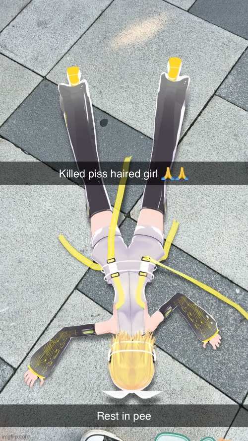 What wrong with @Pablo. And why does he get hated | image tagged in kagamine rin,hatsune miku | made w/ Imgflip meme maker