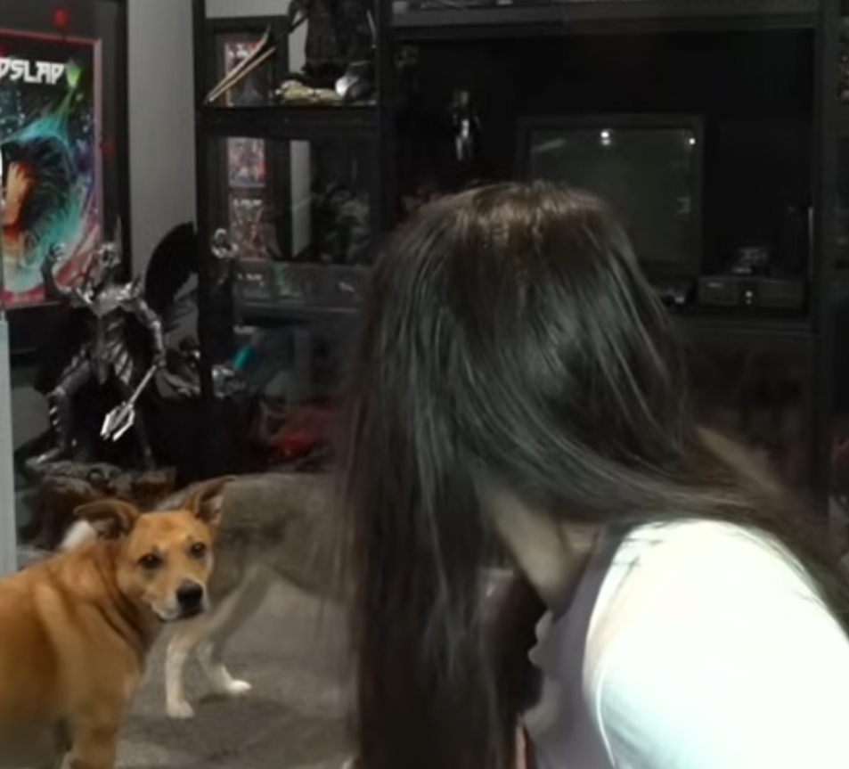 Can you believe that shit Blank Meme Template