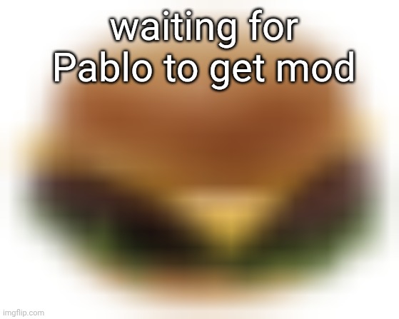 no quality burger | waiting for Pablo to get mod | image tagged in no quality burger | made w/ Imgflip meme maker