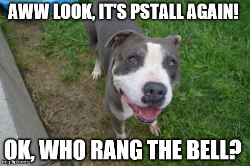 Quizzical Dog | AWW LOOK, IT'S PSTALL AGAIN!  OK, WHO RANG THE BELL? | image tagged in quizzical dog | made w/ Imgflip meme maker