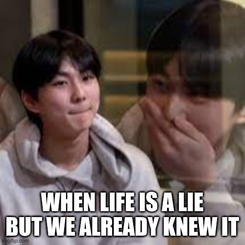 WHEN LIFE IS A LIE BUT WE ALREADY KNEW IT | made w/ Imgflip meme maker
