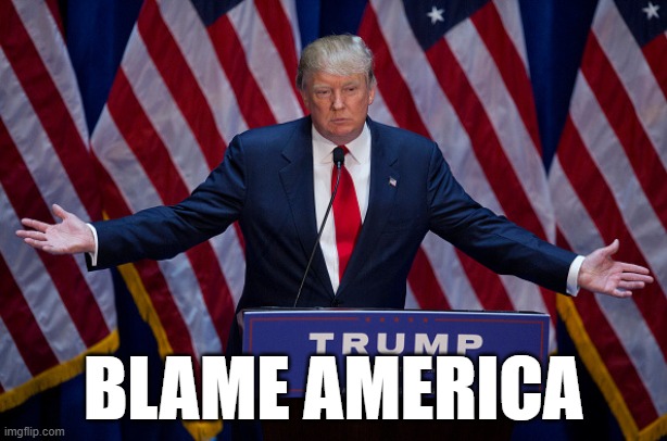 Donald Trump | BLAME AMERICA | image tagged in donald trump | made w/ Imgflip meme maker