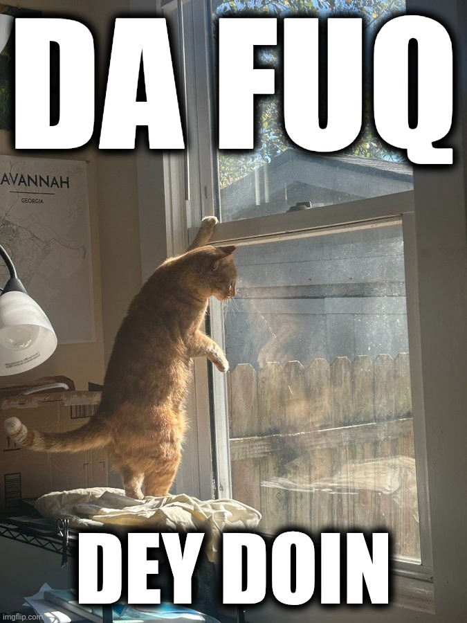 DA FUQ DEY DOIN | made w/ Imgflip meme maker