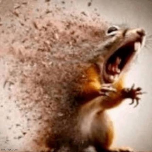 Thanos Squirrel | image tagged in squirrel,memes,thanos,snap,screaming,scream | made w/ Imgflip meme maker