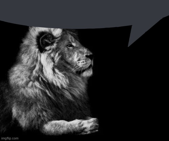 the lion.. | image tagged in the lion | made w/ Imgflip meme maker