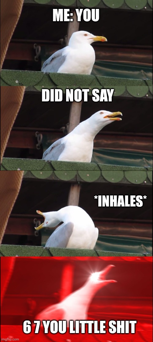 Istg 6 7 sucks | ME: YOU; DID NOT SAY; *INHALES*; 6 7 YOU LITTLE SHIT | image tagged in memes,inhaling seagull | made w/ Imgflip meme maker