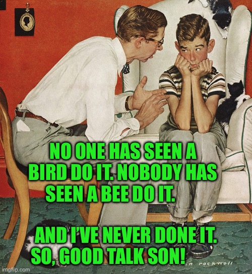 Norman Rockwell  | NO ONE HAS SEEN A BIRD DO IT. NOBODY HAS SEEN A BEE DO IT. AND I’VE NEVER DONE IT. SO, GOOD TALK SON! | image tagged in norman rockwell | made w/ Imgflip meme maker