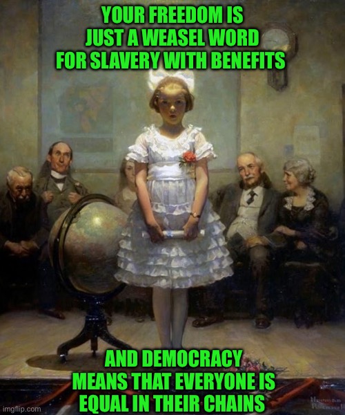 Rockwell | YOUR FREEDOM IS JUST A WEASEL WORD FOR SLAVERY WITH BENEFITS; AND DEMOCRACY MEANS THAT EVERYONE IS EQUAL IN THEIR CHAINS | image tagged in rockwell | made w/ Imgflip meme maker