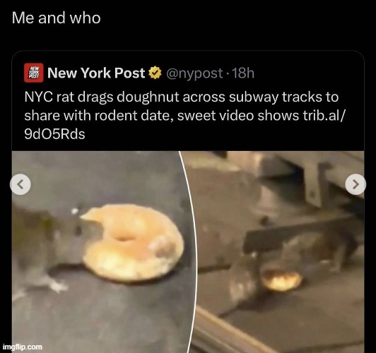 ratatouille if he was American | made w/ Imgflip meme maker