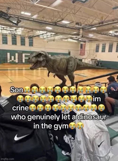 They're never extinct... yet | image tagged in son im crine | made w/ Imgflip meme maker