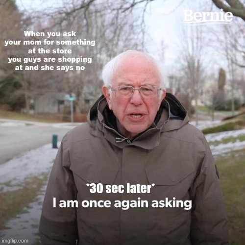 why does she take like 5 hours tho??? | When you ask your mom for something at the store you guys are shopping at and she says no; *30 sec later* | image tagged in memes,bernie i am once again asking for your support | made w/ Imgflip meme maker