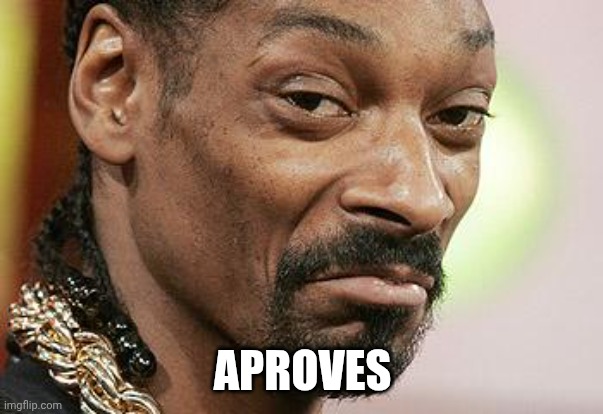 Snoop Dogg Approves | APROVES | image tagged in snoop dogg approves | made w/ Imgflip meme maker
