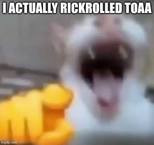 then I blocked him again | I ACTUALLY RICKROLLED TOAA | image tagged in cat pointing and laughing | made w/ Imgflip meme maker