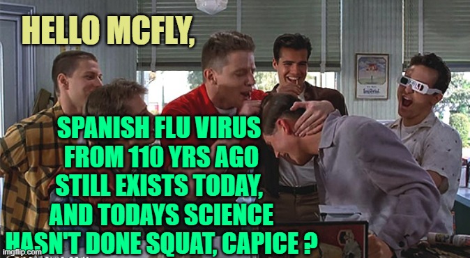 HELLO MCFLY, SPANISH FLU VIRUS 
FROM 110 YRS AGO
STILL EXISTS TODAY, 
AND TODAYS SCIENCE
HASN'T DONE SQUAT, CAPICE ? | image tagged in biff tannen | made w/ Imgflip meme maker