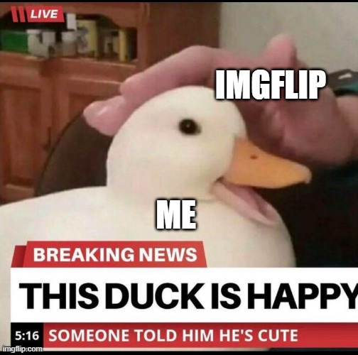 Me | IMGFLIP; ME | image tagged in happy duck,happy | made w/ Imgflip meme maker