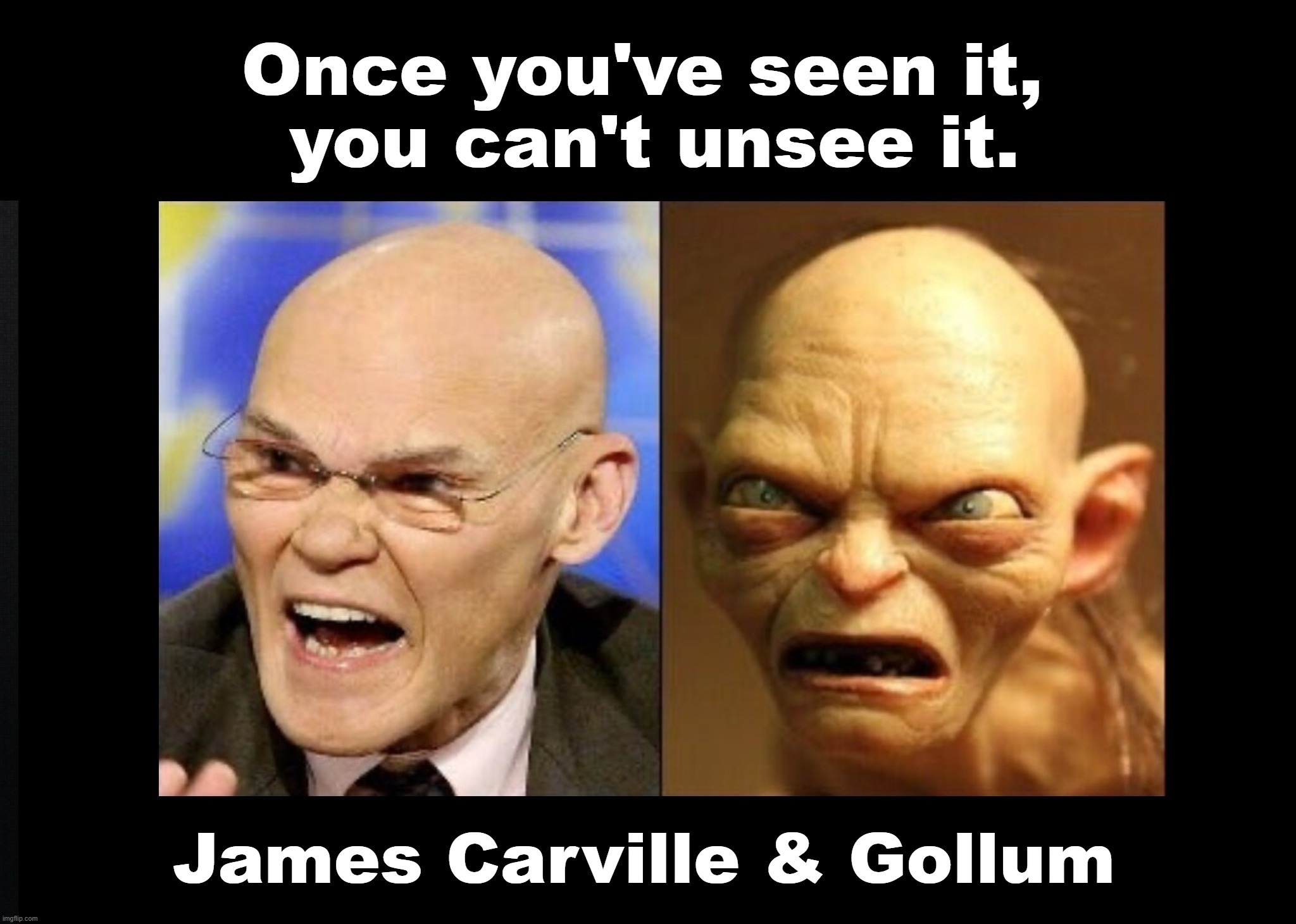 Ancient Aliens Guy | image tagged in ancient aliens guy,ancient aliens dude,ancient aliens,james carville,my precious gollum,freaks | made w/ Imgflip meme maker