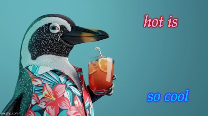 party penguin | hot is; so cool | image tagged in party penguin,hot,cool,memes | made w/ Imgflip meme maker