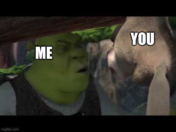 Shrek Why are you following me | ME YOU | image tagged in shrek why are you following me | made w/ Imgflip meme maker