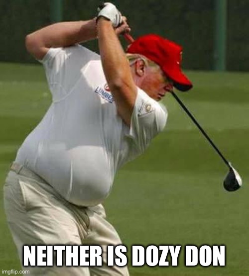 trump golf gut | NEITHER IS DOZY DON | image tagged in trump golf gut | made w/ Imgflip meme maker