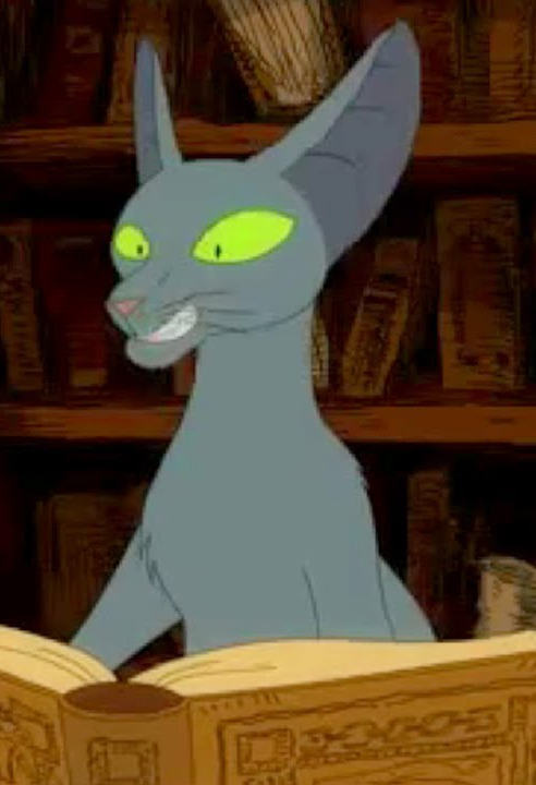 Nerd Cat Blank Meme Template