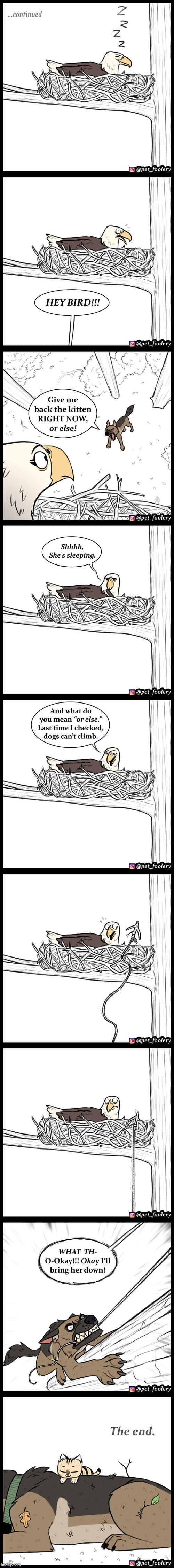 Brutus to the rescue! | image tagged in eagle,dog,tree,climbing,cat,rescue | made w/ Imgflip meme maker