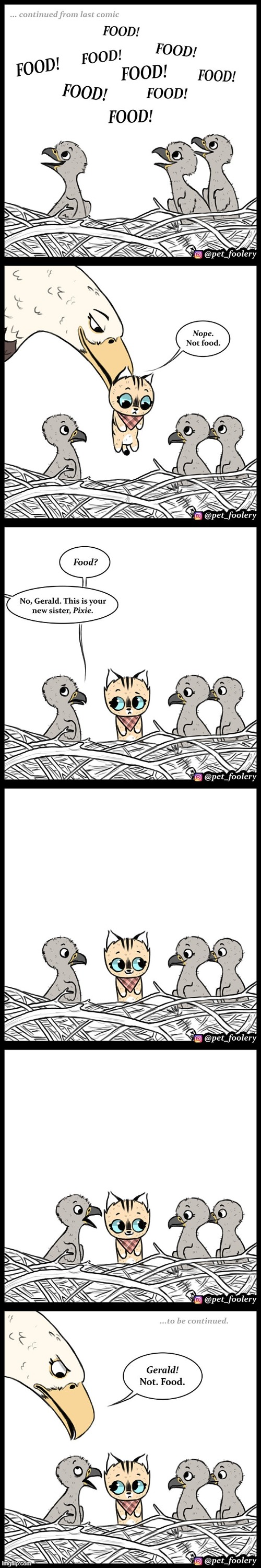 image tagged in eagle,babies,cat,sister,new,food | made w/ Imgflip meme maker