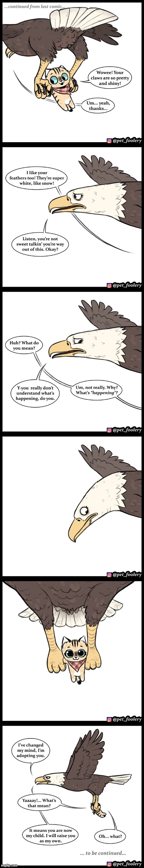 image tagged in cat,eagle,compliments,face,cute,adoption | made w/ Imgflip meme maker