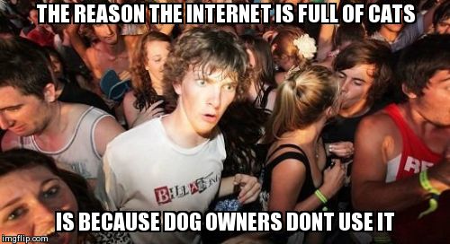 Sudden Clarity Clarence | THE REASON THE INTERNET IS FULL OF CATS IS BECAUSE DOG OWNERS DONT USE IT | image tagged in memes,sudden clarity clarence | made w/ Imgflip meme maker