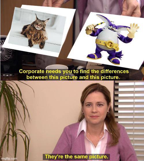 big cats Blank Meme Template