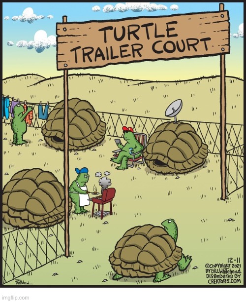 Looks like a nice place… | image tagged in comics,turtles,trailer court,shells | made w/ Imgflip meme maker